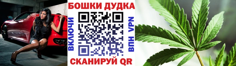 Бошки марихуана сатива Полярный